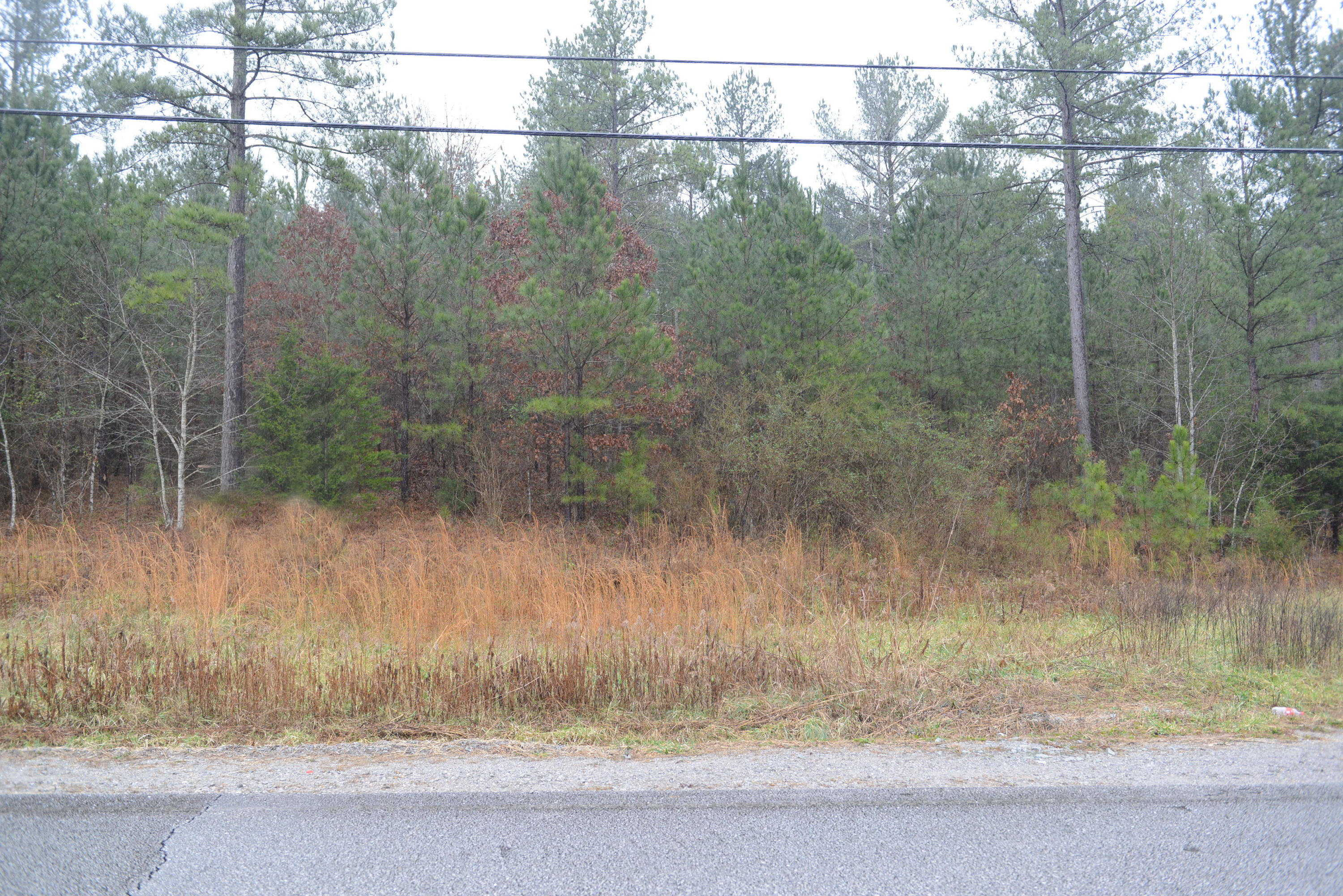 3457 Blythes Ferry Road Dayton, TN 37321 - Photo 3 of 5 DSC_4054