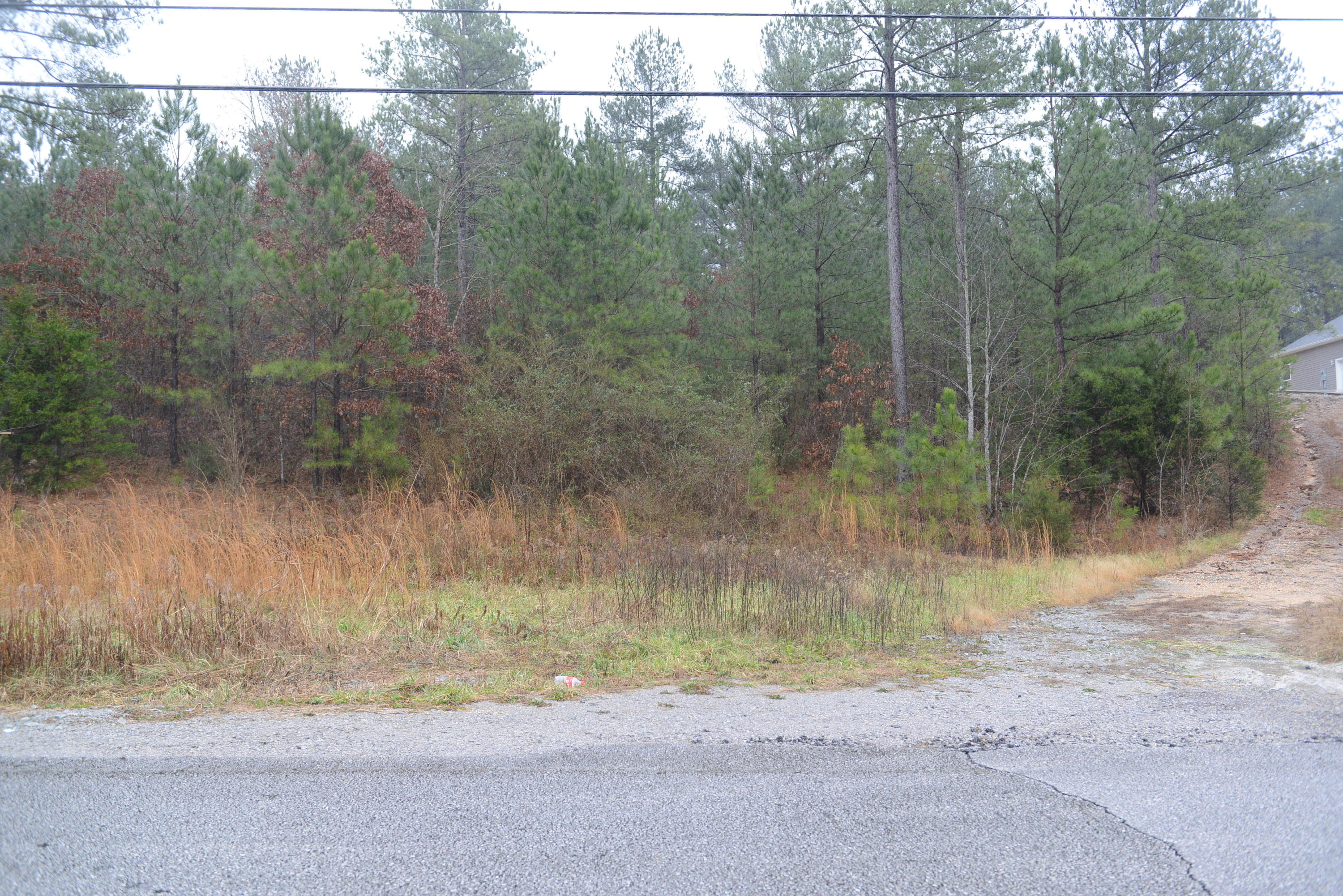 3457 Blythes Ferry Road Dayton, TN 37321 - Photo 4 of 5 DSC_4055