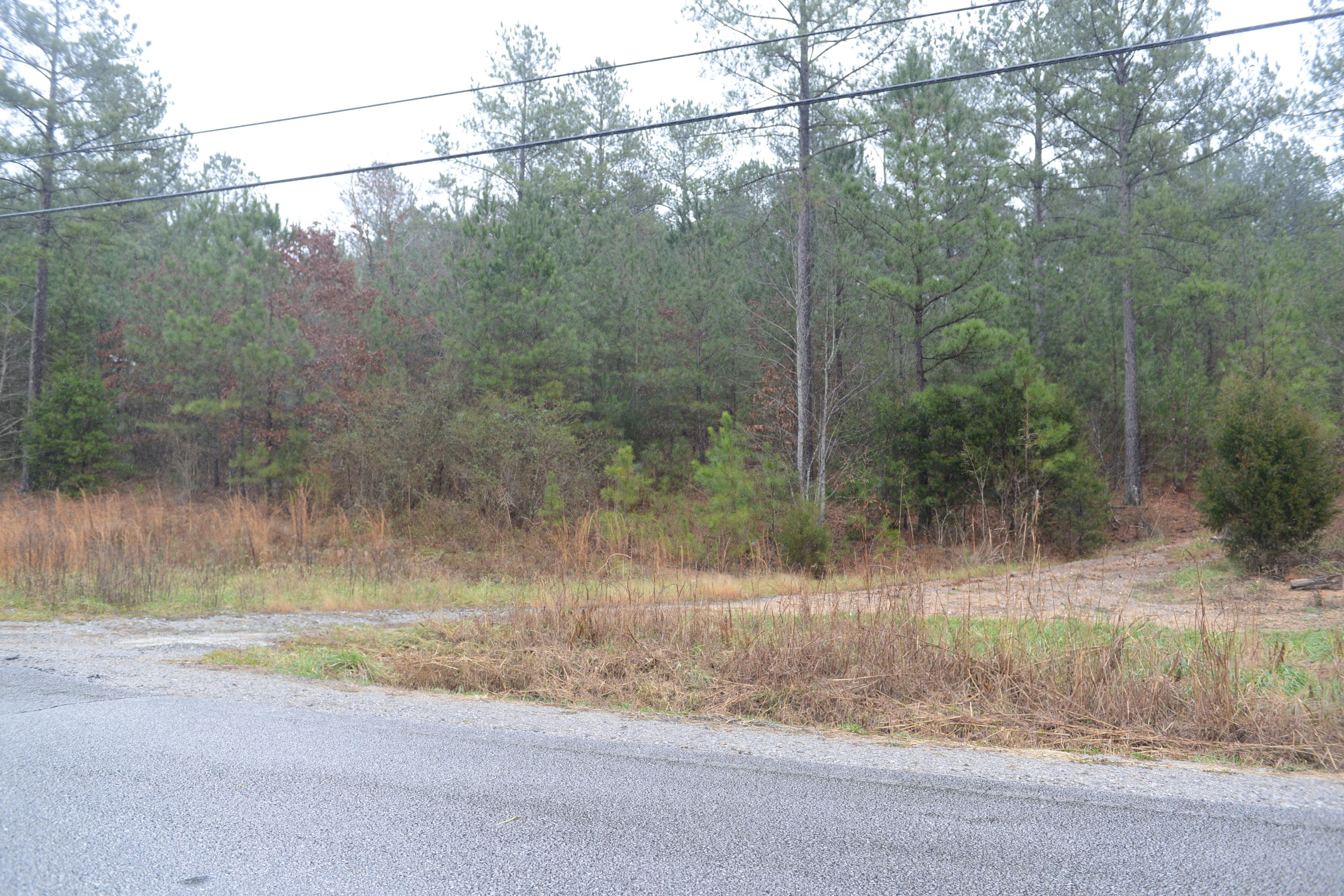 3457 Blythes Ferry Road Dayton, TN 37321 - Photo 5 of 5 DSC_4056