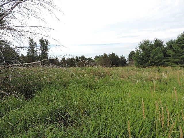 0 Lake George Road Leonard, MI 48428 - Photo 3 of 4