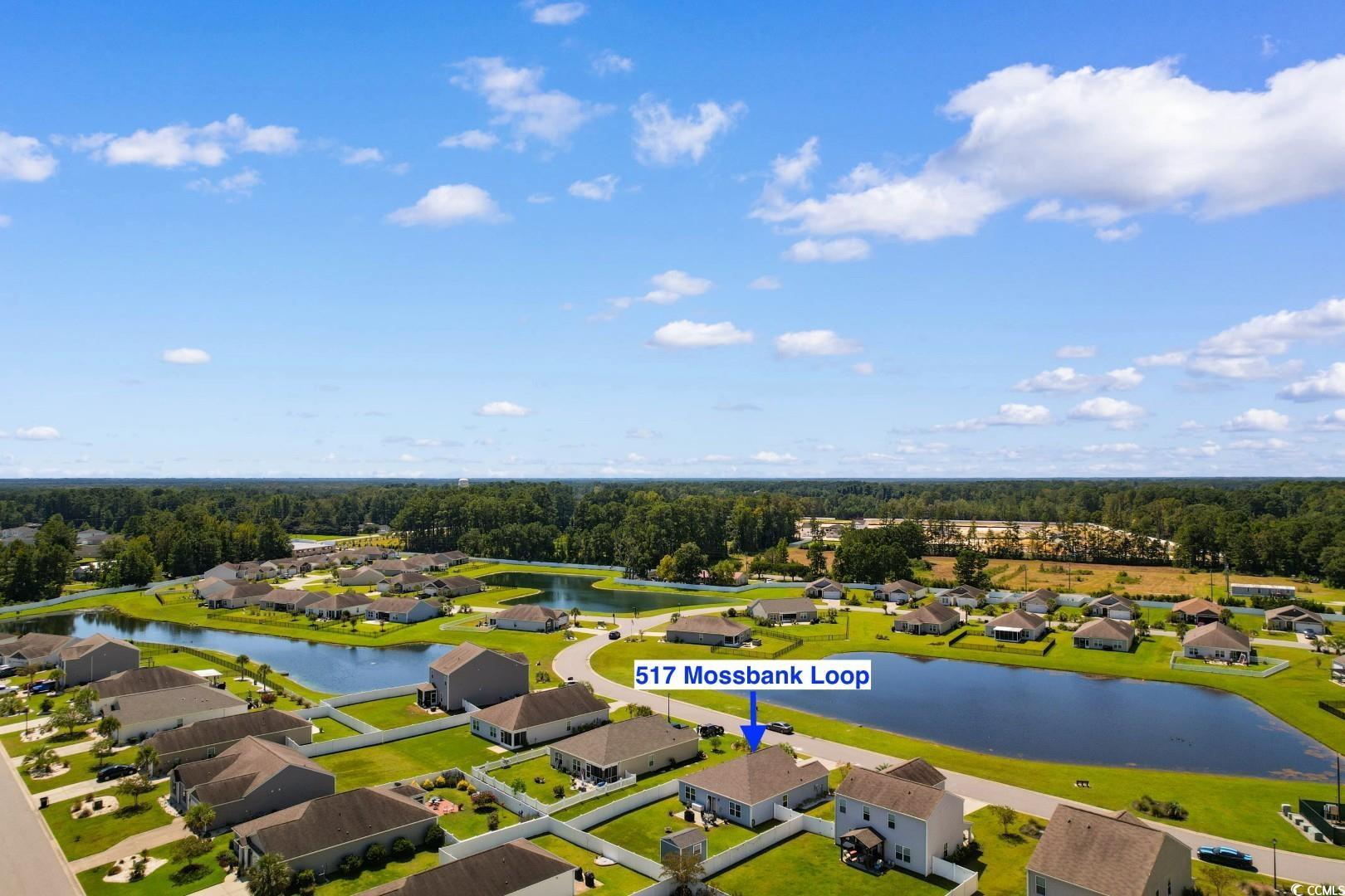 517 Mossbank Loop Longs, SC 29568 - Photo 32 of 40