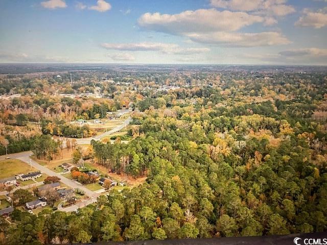 Mill Pond Road Conway, SC 29526 - Photo 3 of 8