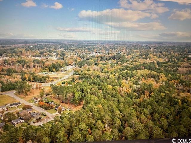 Mill Pond Road Conway, SC 29526 - Photo 4 of 8