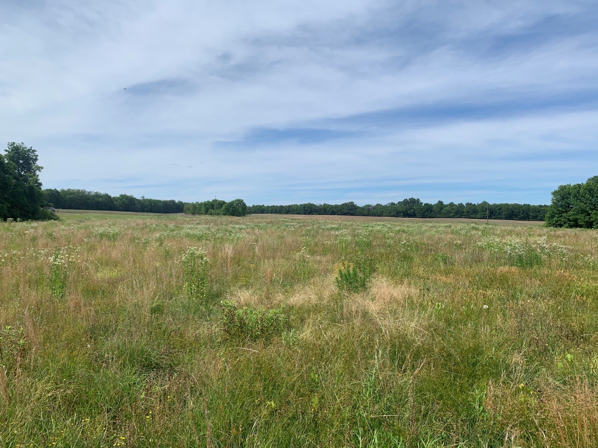0 Elliot Road Ardmore, TN 38449 - Photo 1 of 8 a view of an ocean and beach