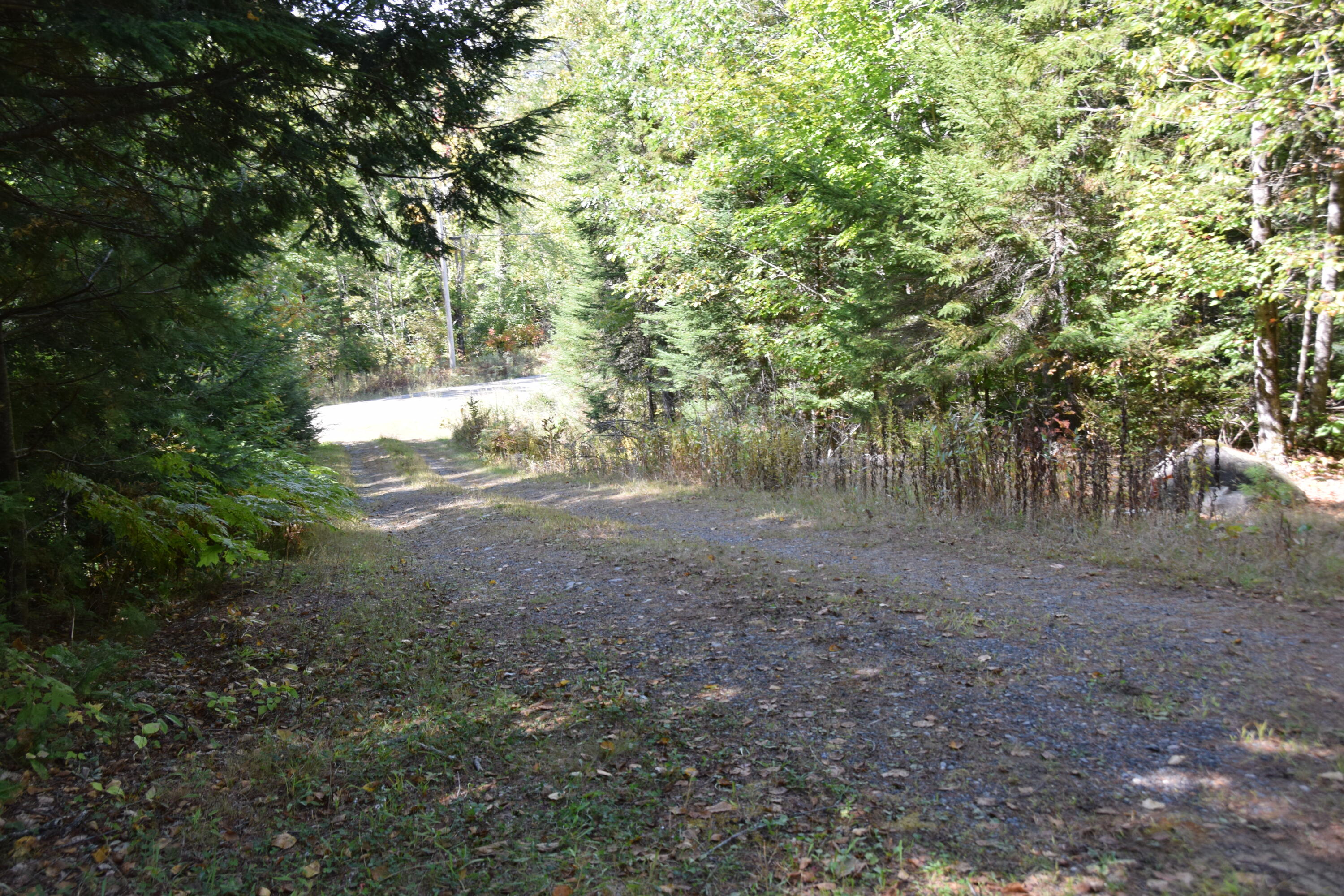 257 Sawyers Mills Road Starks, ME 04911 - Photo 20 of 37 DSC_0081