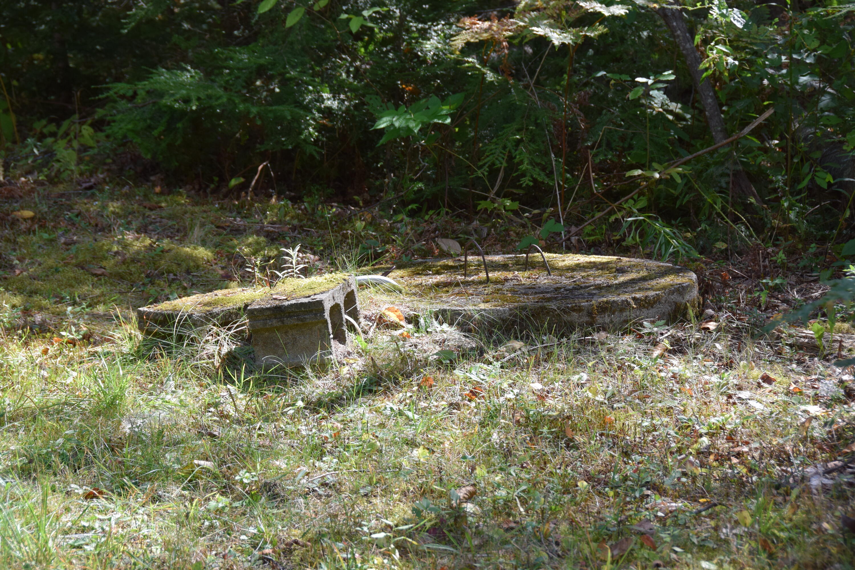 257 Sawyers Mills Road Starks, ME 04911 - Photo 22 of 37 DSC_0085