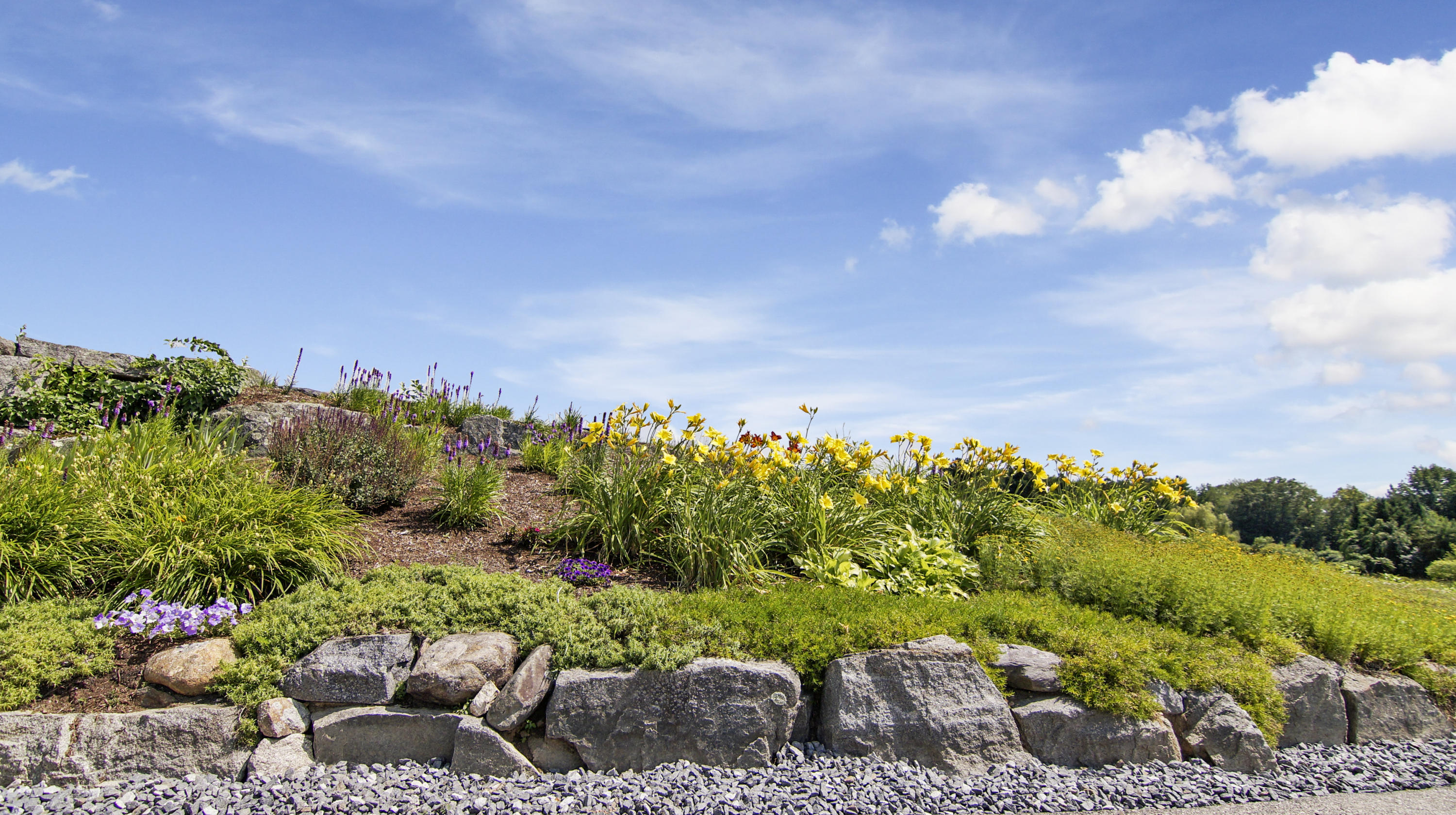 14 Windy Ridge Lane Springvale, ME 04083 - Photo 30 of 31 30-Garden landscape