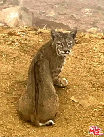 $6,950,000 | 9785 Deer Creek Road, Malibu, CA 90265