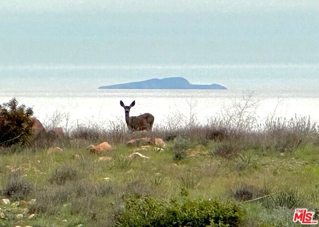 $6,950,000 | 9785 Deer Creek Road, Malibu, CA 90265
