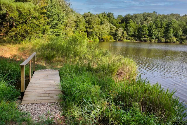 a view of a pathway both side of building