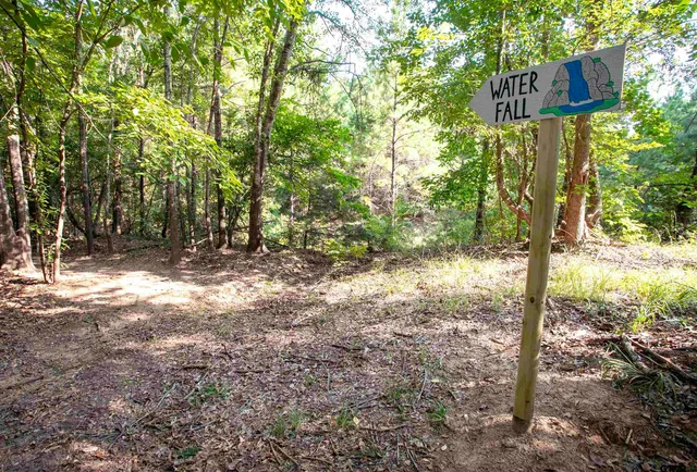 a view of outdoor space with trees