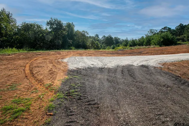 a view of a backyard of a house