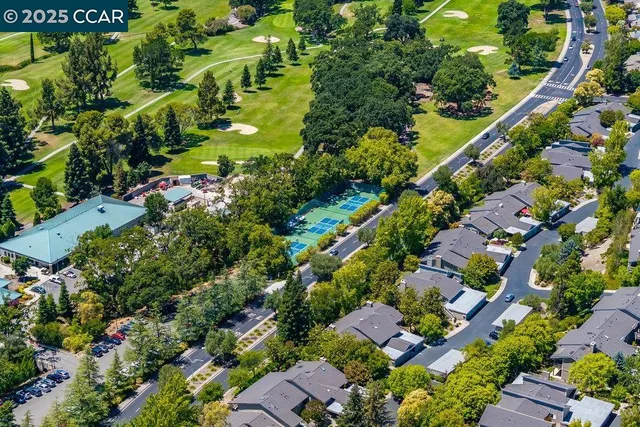 a view of a garden with plants