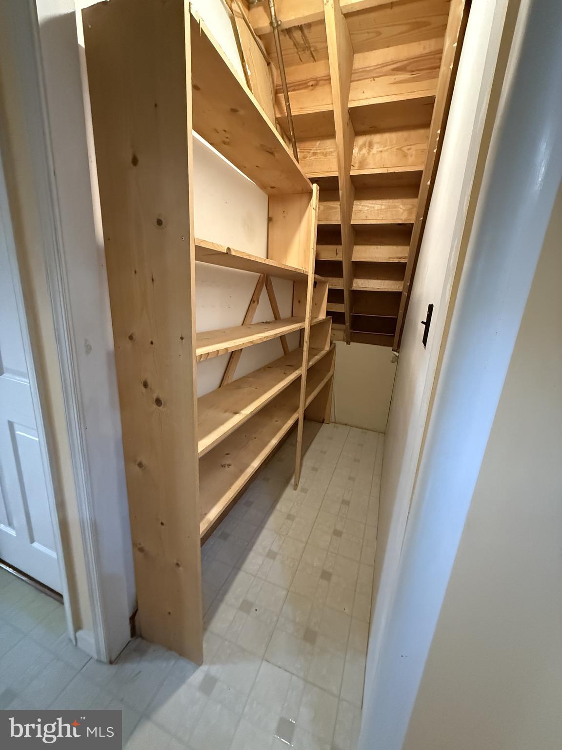 21 Coolidge Road Inwood, WV 25428 - Photo 64 of 80 Lower Level Pantry
