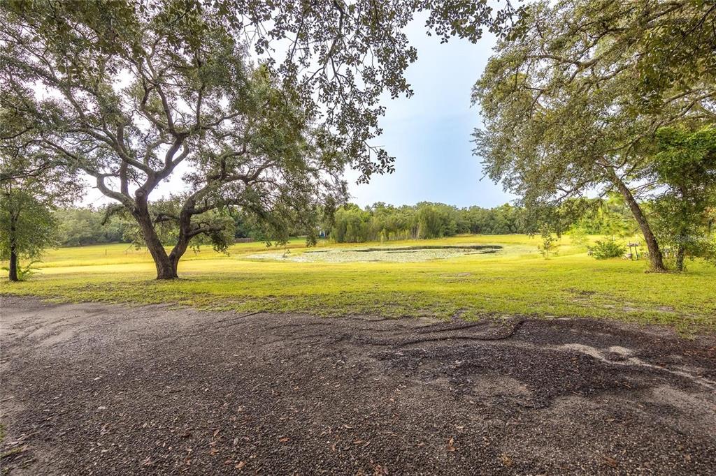 13219 Tyrone Street Hudson, FL 34667 - Photo 88 of 99 a view of an ocean and a trees