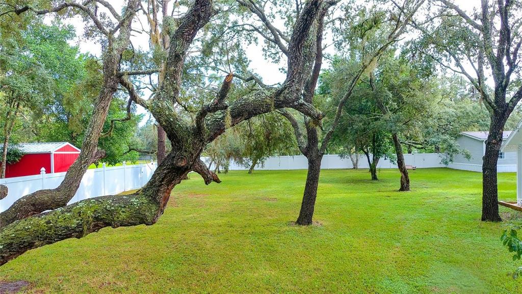 13219 Tyrone Street Hudson, FL 34667 - Photo 93 of 99 a view of an outdoor space with a swimming pool