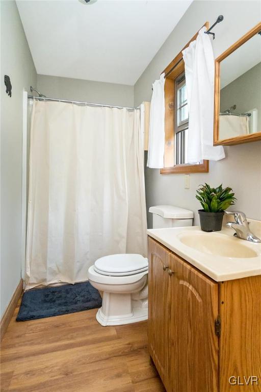 870 Stagecoach Road West Lehighton, PA 18235 - Photo 42 of 50 a bathroom with a sink toilet and shower