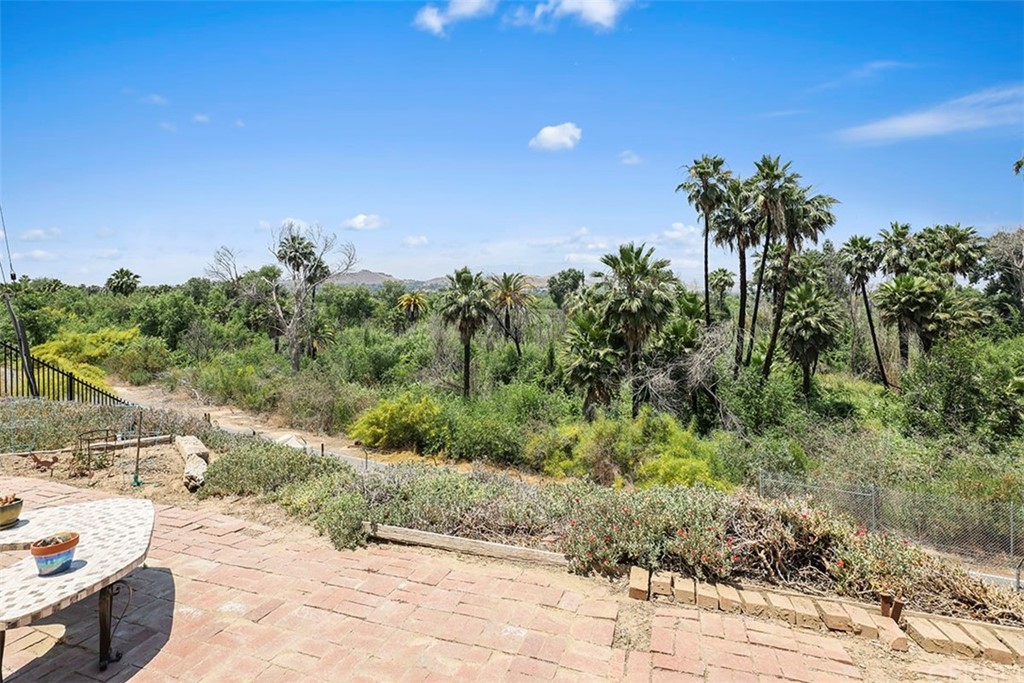5265 Old Road Riverside, CA 92504 - Photo 32 of 75 a view of a yard with palm trees