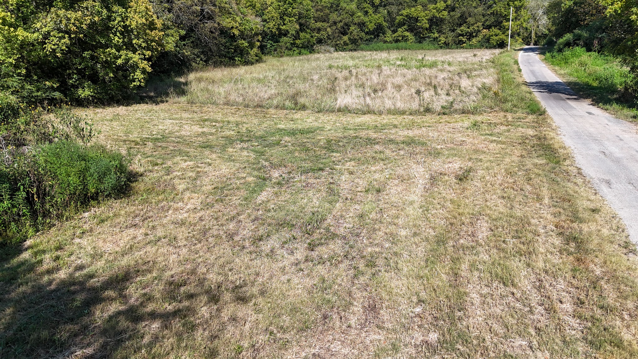 944 Shoal Bluff Road Minor Hill, TN 38473 - Photo 11 of 55 a view of outdoor space with swimming pool and trees