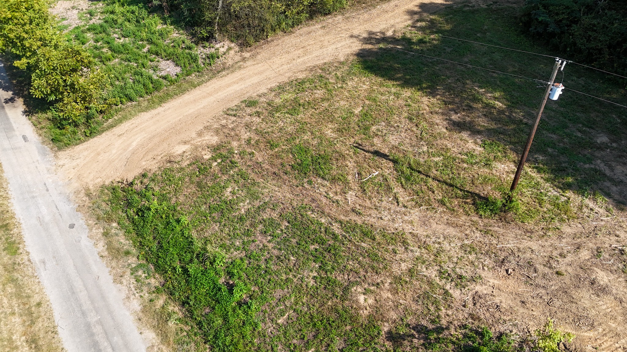 944 Shoal Bluff Road Minor Hill, TN 38473 - Photo 12 of 55 a view of a yard with plants and a bench