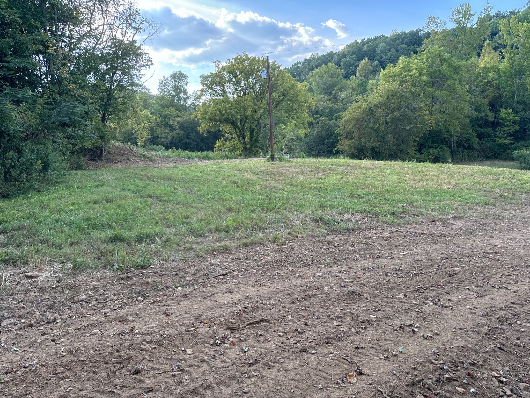 944 Shoal Bluff Road Minor Hill, TN 38473 - Photo 13 of 55 a view of a field with trees in the background