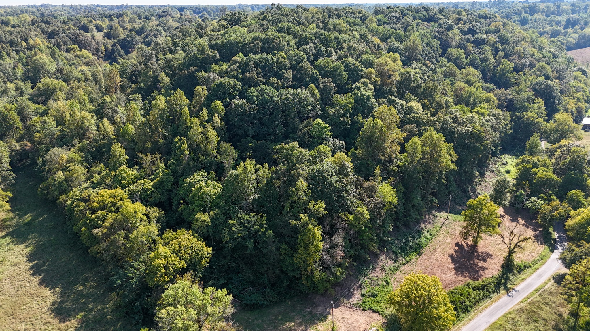 944 Shoal Bluff Road Minor Hill, TN 38473 - Photo 15 of 55 an aerial view of residential house with outdoor space and trees all around