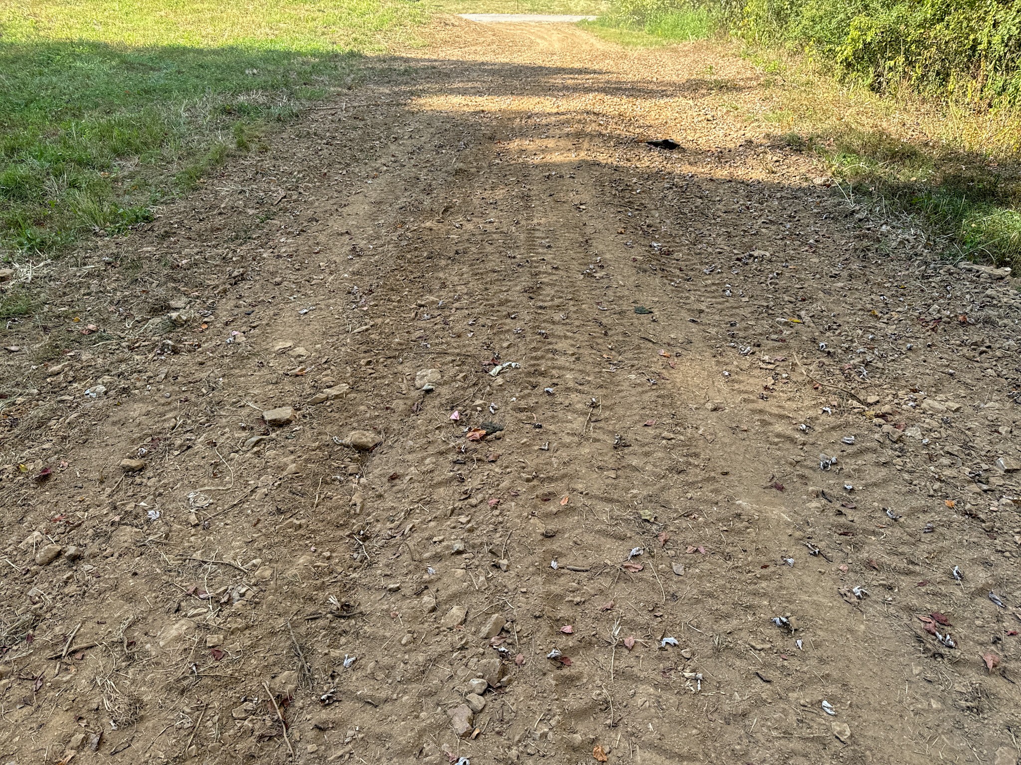 944 Shoal Bluff Road Minor Hill, TN 38473 - Photo 16 of 55 a view of an ocean beach