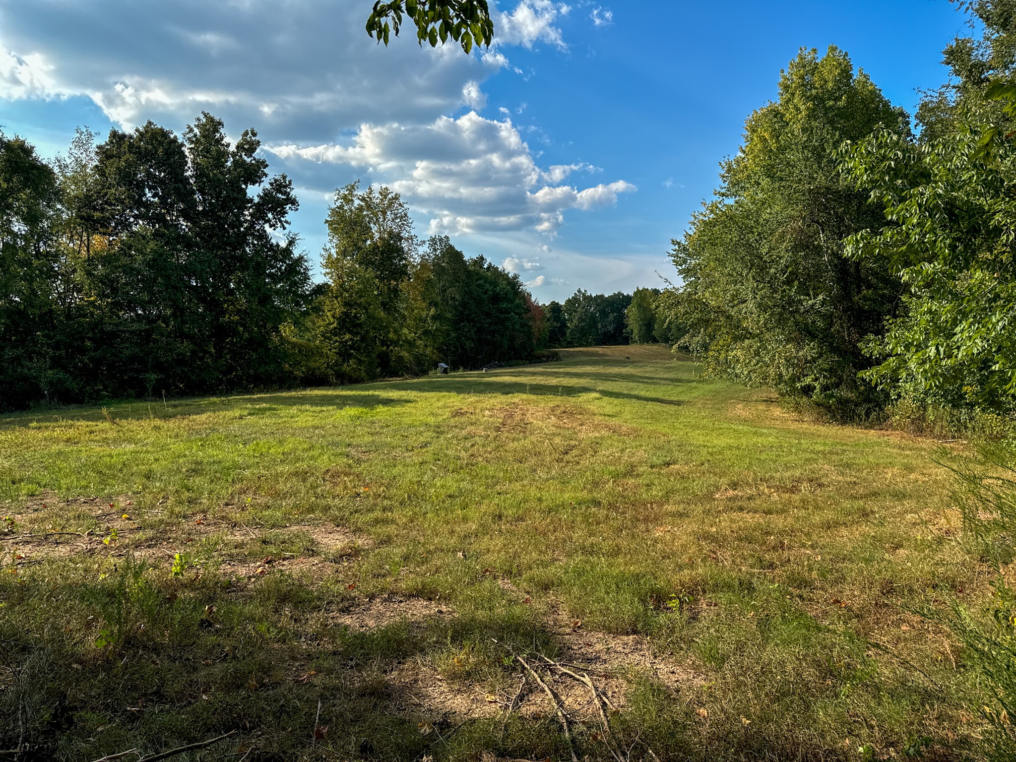 944 Shoal Bluff Road Minor Hill, TN 38473 - Photo 29 of 55 a view of a lake view