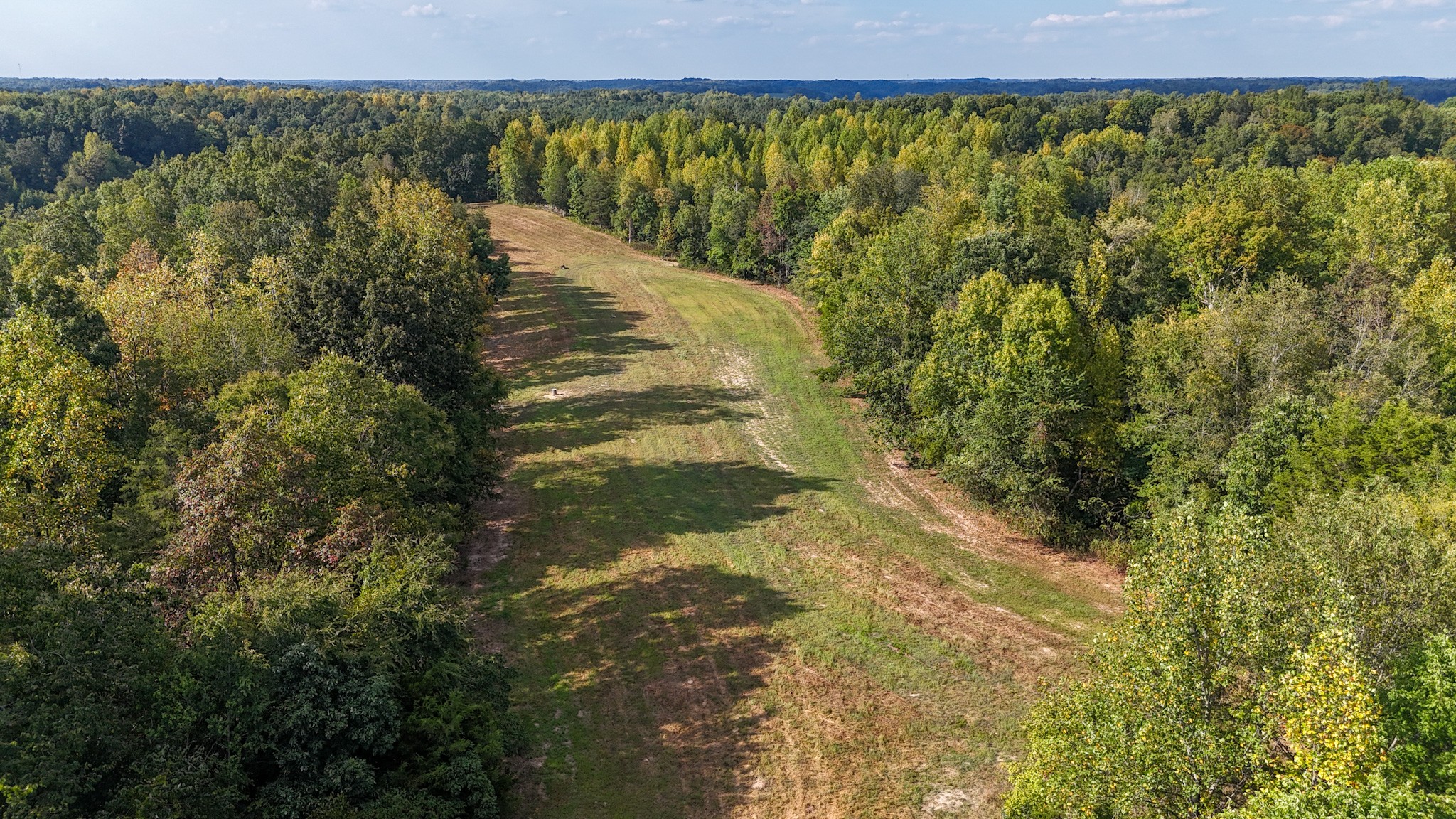 944 Shoal Bluff Road Minor Hill, TN 38473 - Photo 3 of 55 a view of a lake view