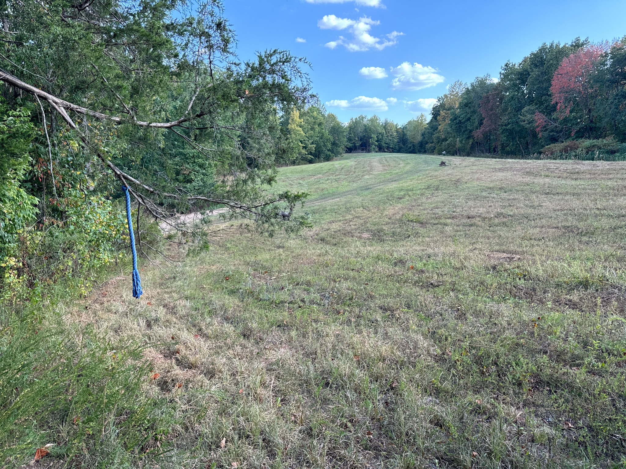 944 Shoal Bluff Road Minor Hill, TN 38473 - Photo 31 of 55 a view of an outdoor space and trees