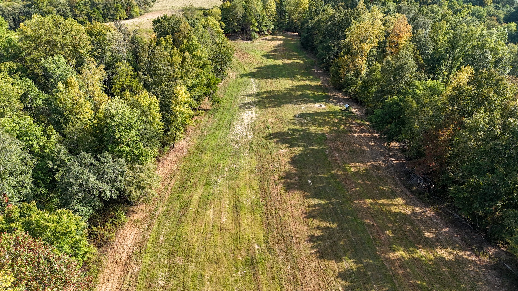944 Shoal Bluff Road Minor Hill, TN 38473 - Photo 36 of 55 a backyard of a building