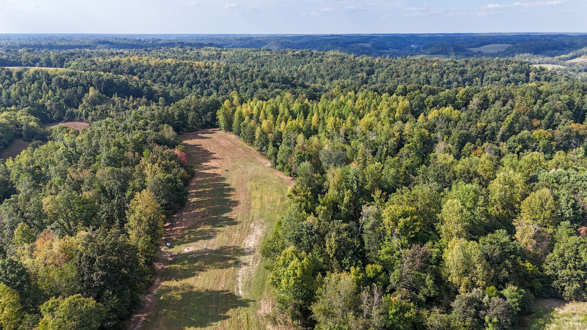 944 Shoal Bluff Road Minor Hill, TN 38473 - Photo 38 of 55 a view of a city with lush green forest