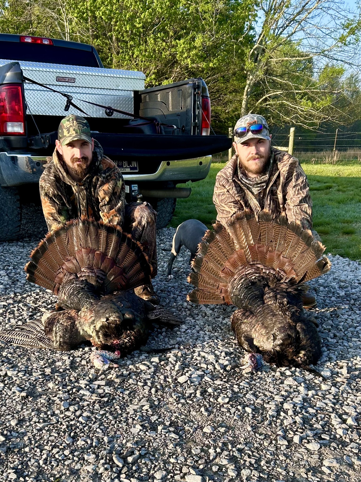 944 Shoal Bluff Road Minor Hill, TN 38473 - Photo 4 of 55