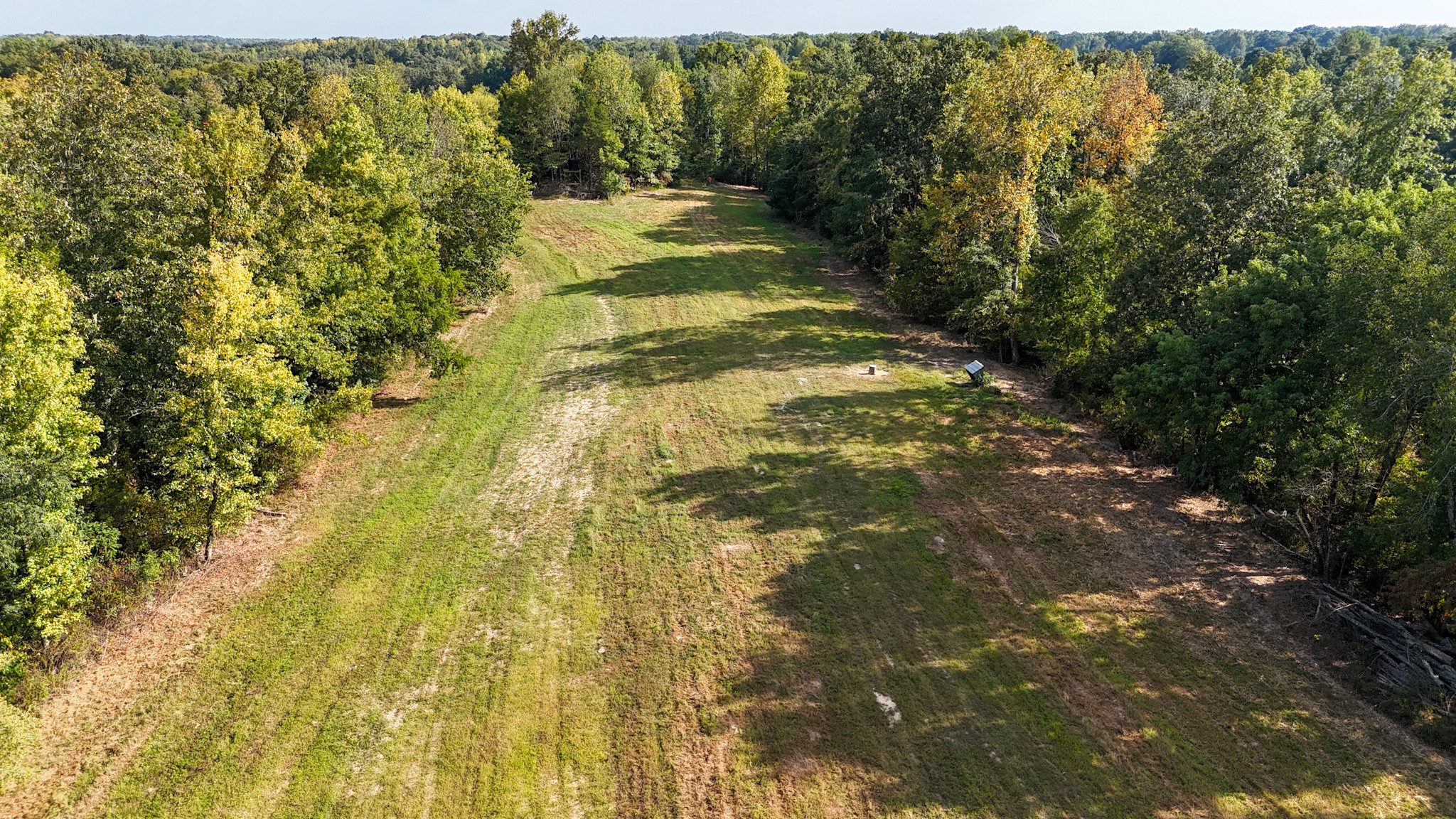 944 Shoal Bluff Road Minor Hill, TN 38473 - Photo 41 of 55