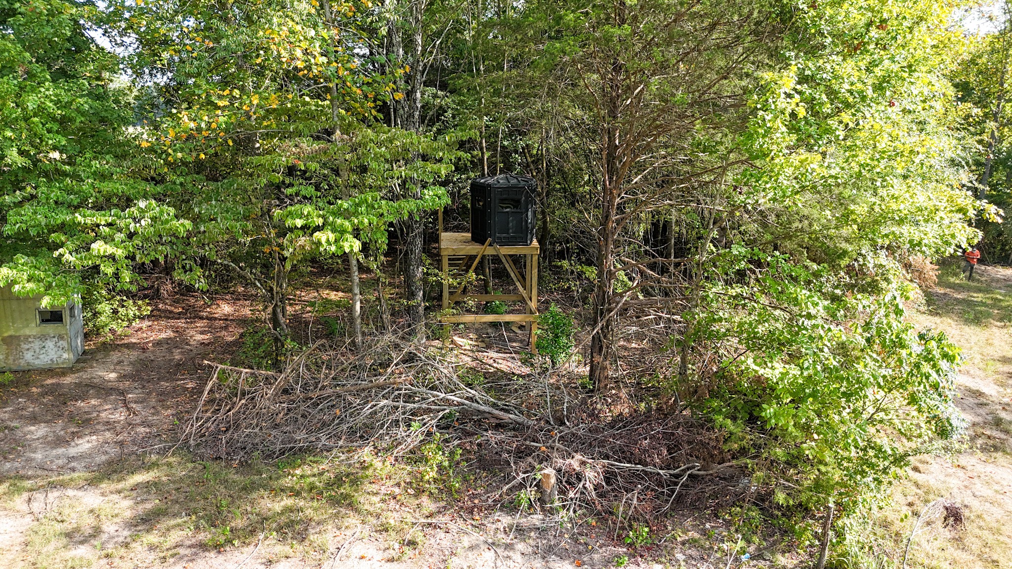 944 Shoal Bluff Road Minor Hill, TN 38473 - Photo 42 of 55 a backyard of a house with lots of plants and large tree