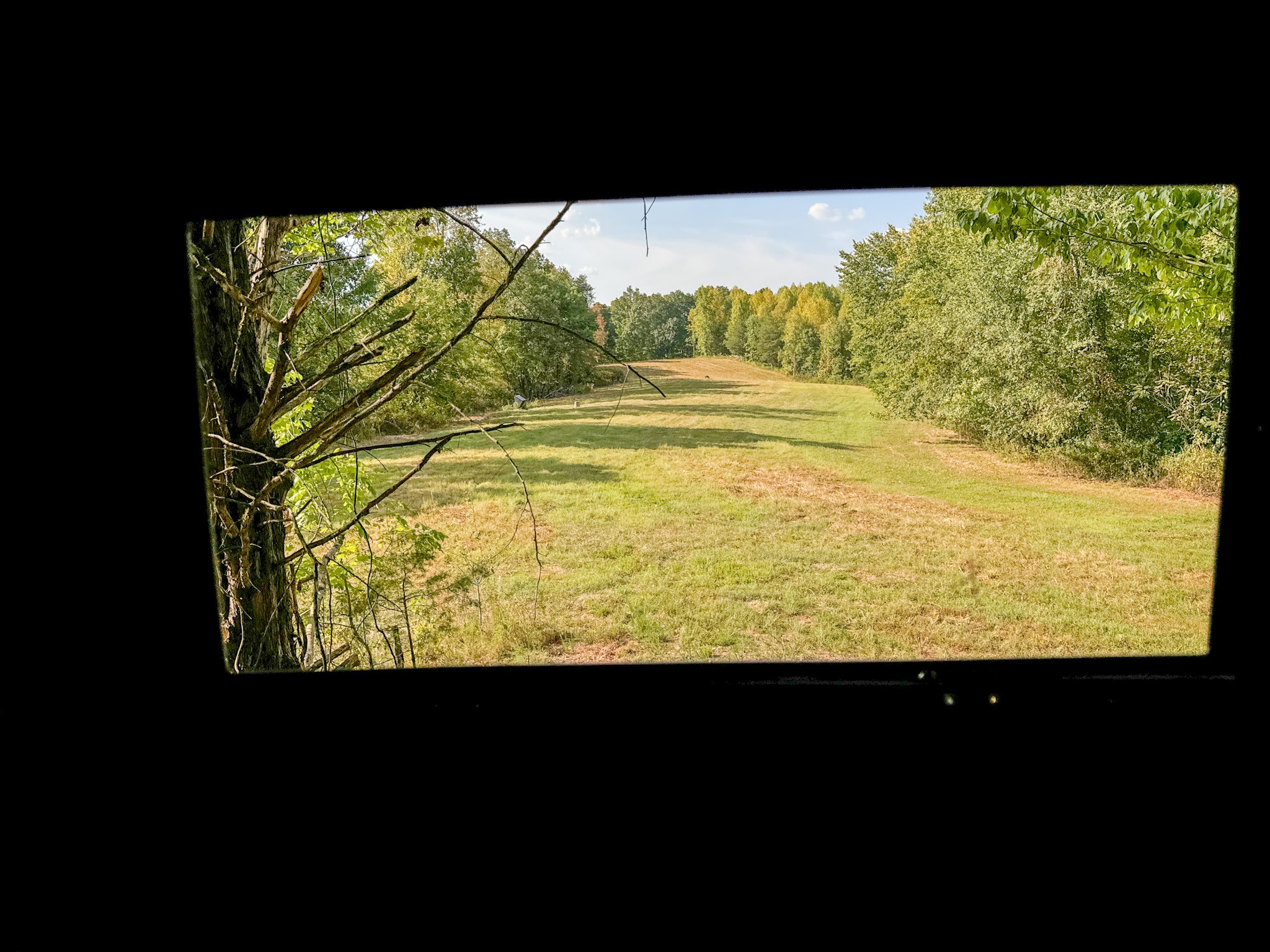 944 Shoal Bluff Road Minor Hill, TN 38473 - Photo 45 of 55 a view of sky from window