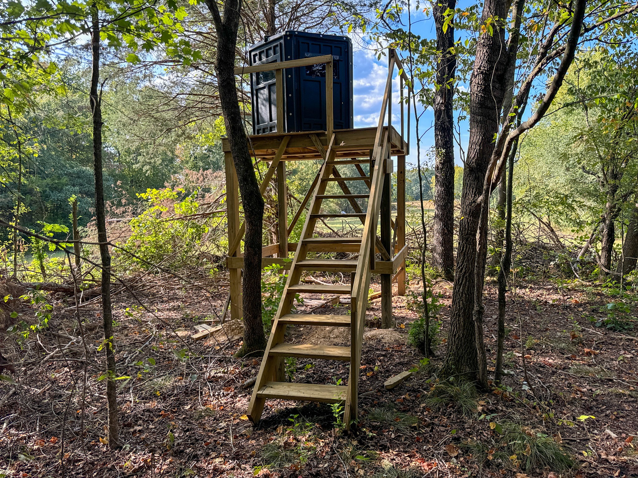 944 Shoal Bluff Road Minor Hill, TN 38473 - Photo 46 of 55 a view of a pathway of a yard