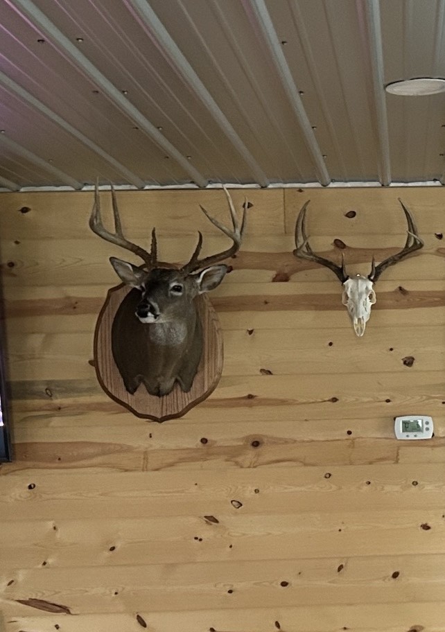 944 Shoal Bluff Road Minor Hill, TN 38473 - Photo 50 of 55 a bathroom with a mirror