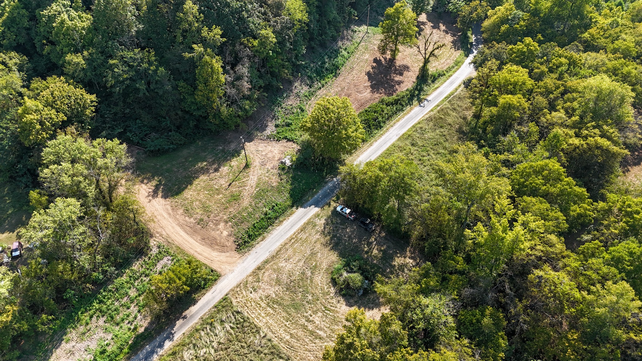 944 Shoal Bluff Road Minor Hill, TN 38473 - Photo 6 of 55 a view of a yard with plants