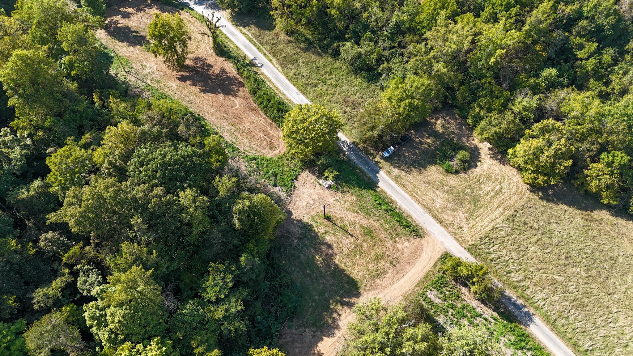 944 Shoal Bluff Road Minor Hill, TN 38473 - Photo 7 of 55