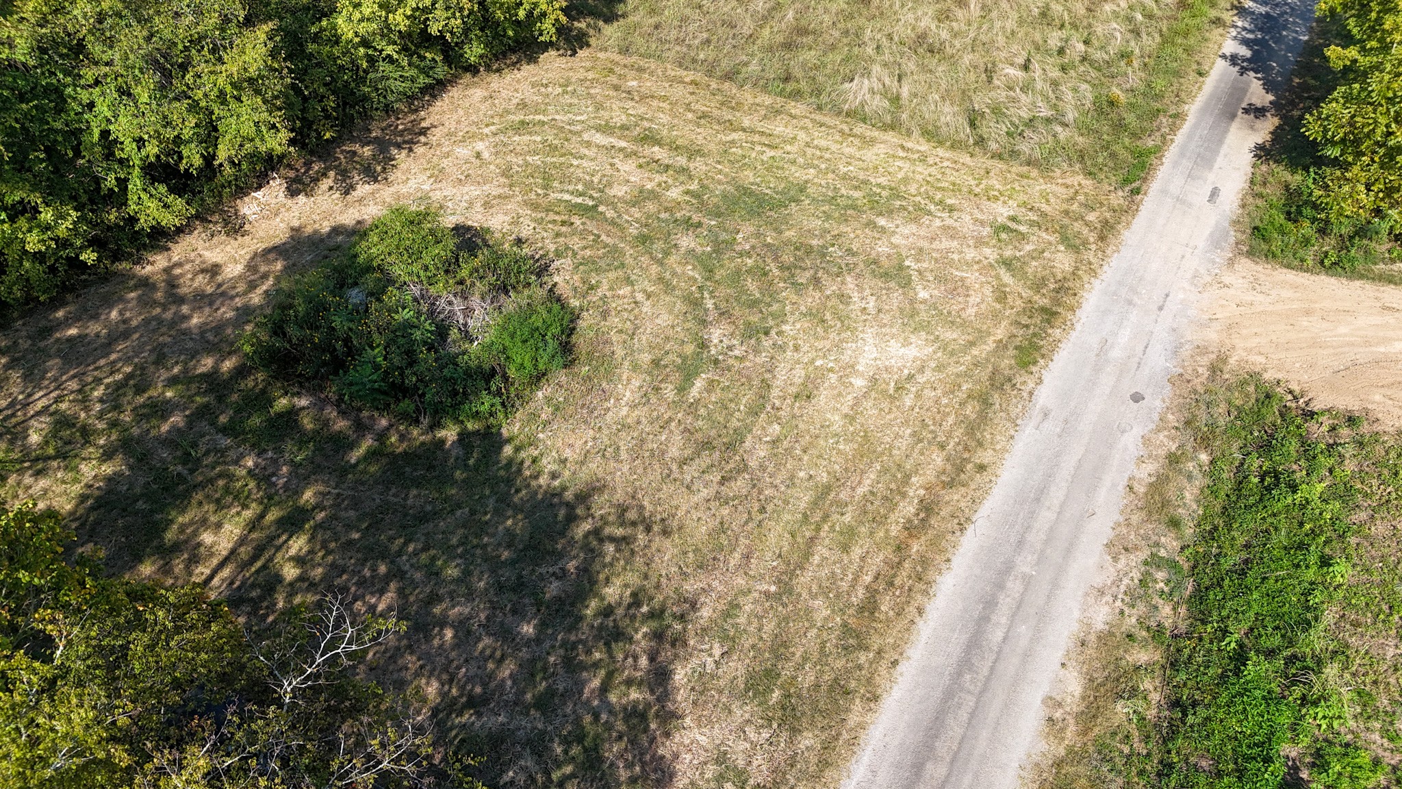 944 Shoal Bluff Road Minor Hill, TN 38473 - Photo 8 of 55 a view of a yard