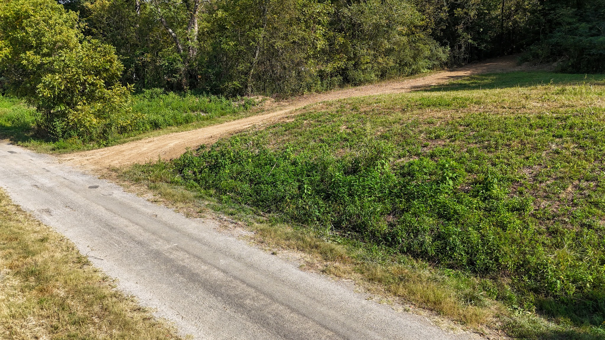 944 Shoal Bluff Road Minor Hill, TN 38473 - Photo 9 of 55 a view of a yard with plants