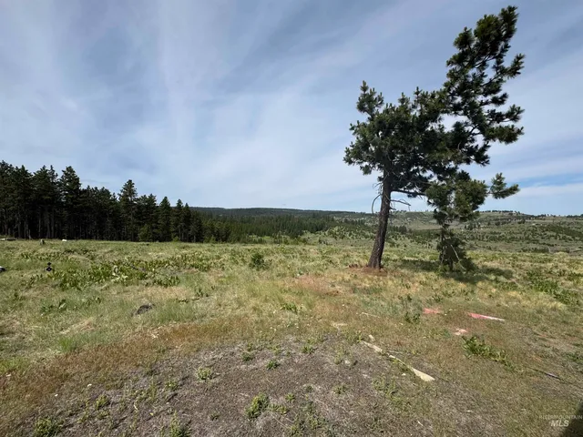 $185,000 | 100 Rock Hill Road, Pomeroy, WA 99347