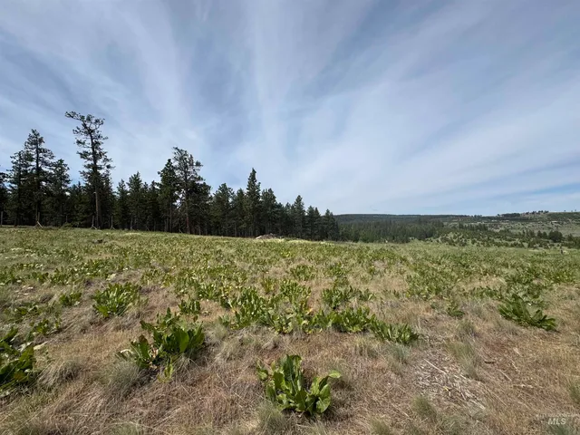 $185,000 | 100 Rock Hill Road, Pomeroy, WA 99347