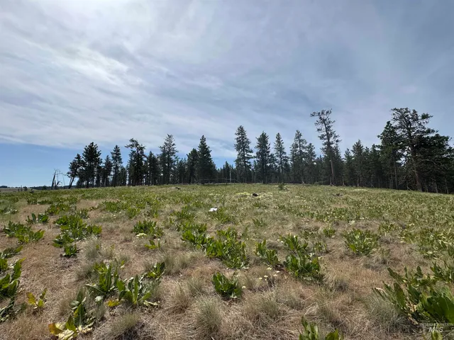 $185,000 | 100 Rock Hill Road, Pomeroy, WA 99347