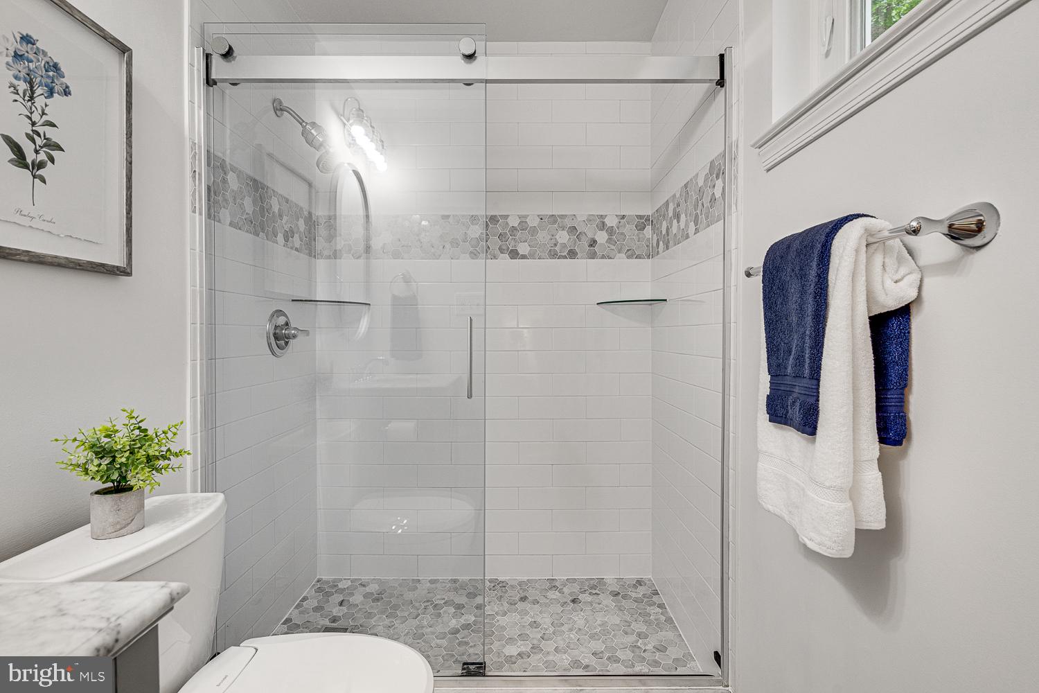 10197 Wavell Road Fairfax, VA 22032 - Photo 24 of 47 a bathroom with a shower a toilet and a shower