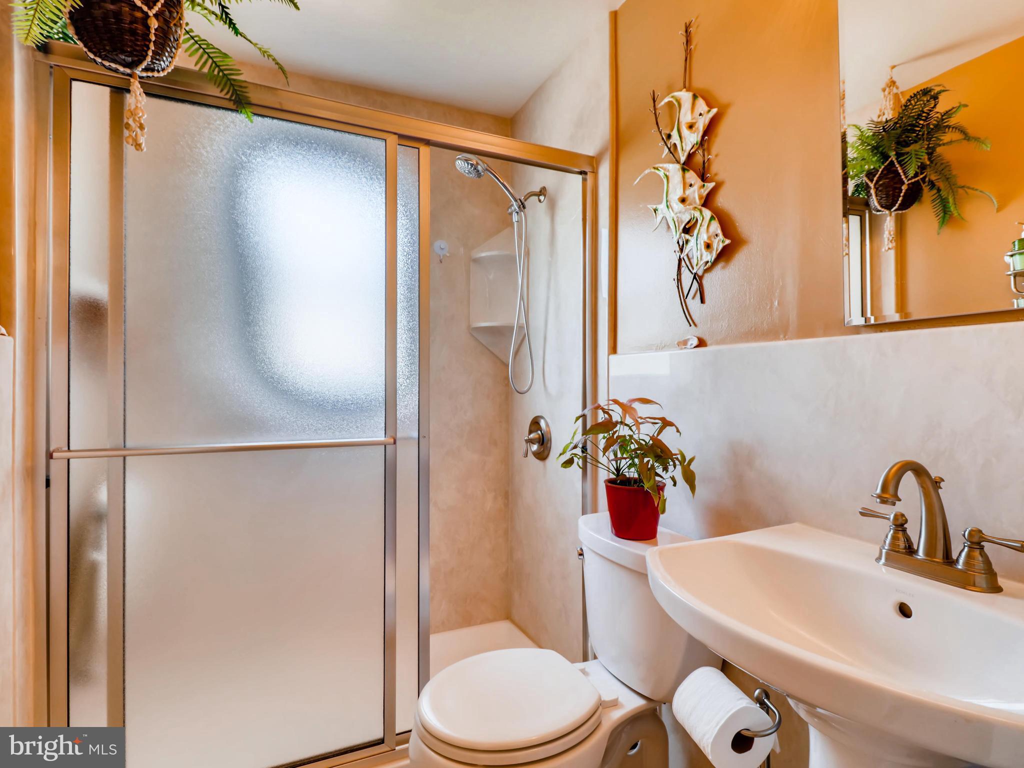 2207 Graythorn Road Baltimore, MD 21220 - Photo 18 of 30 a bathroom with a sink toilet and shower