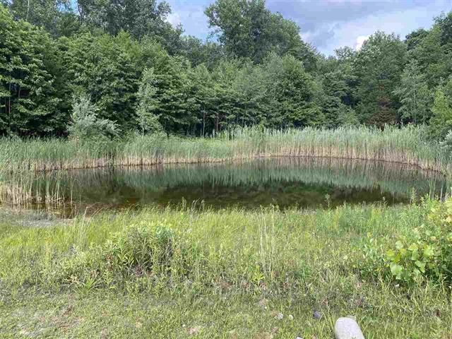 15365 Fowler Road Oakley, MI 48649 - Photo 33 of 39