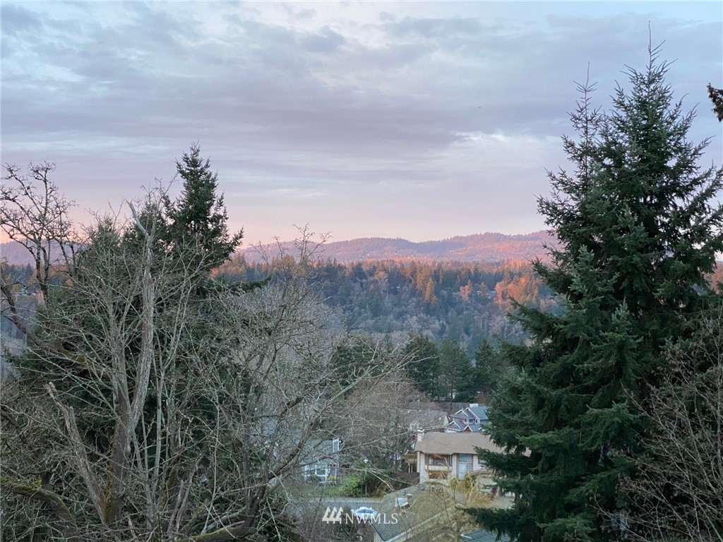 13994 Southeast 159th Place Renton, WA 98058 - Photo 3 of 39 Gallery Image 3