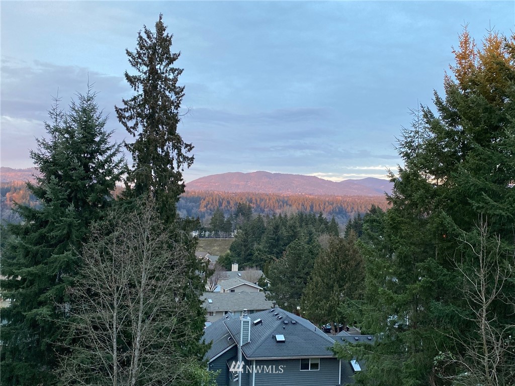 13994 Southeast 159th Place Renton, WA 98058 - Photo 39 of 39 Gallery Image 39